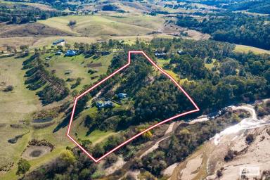 Acreage/Semi-rural For Sale - NSW - Bega - 2550 - SWIM, RELAX & UNWIND: STUNNING RIVERFRONT LIFESTYLE (Image 2)