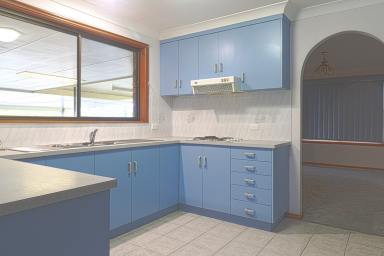 House For Lease - NSW - Kyogle - 2474 - The Perfect Place to Call Home  (Image 2)