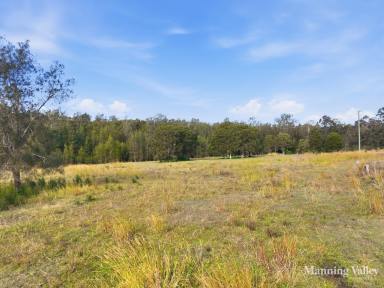 Lifestyle For Sale - NSW - Cundletown - 2430 - A Rare Eco-Tourism & Lifestyle Opportunity  (Image 2)