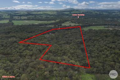 Residential Block For Sale - VIC - Lexton - 3352 - Beautiful Country Landscape With Infrastructure  (Image 2)