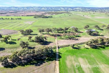 Other (Rural) For Sale - WA - Benger - 6223 - Premium Rural Lifestyle  (Image 2)
