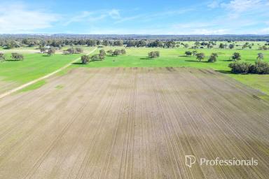 Other (Rural) For Sale - WA - Benger - 6223 - Premium Rural Lifestyle  (Image 2)