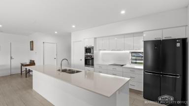 House For Sale - QLD - Mareeba - 4880 - EXECUTIVE FAMILY LIVING, MASSIVE SHED & EXCEPTIONAL OUTDOOR LIVING  (Image 2)