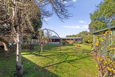 House For Sale - WA - Margaret River - 6285 - Big Block, Dual-Living Potential & Margaret River Lifestyle  (Image 2)