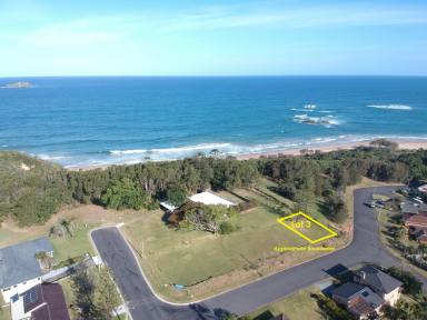 Residential Block For Sale - NSW - Sapphire Beach - 2450 - It Just Does Not Get Any Better Than This!  (Image 2)