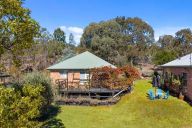 Acreage/Semi-rural For Sale - NSW - Mudgee - 2850 - TWO RESIDENCES. ENDLESS POTENTIAL. (Image 2)