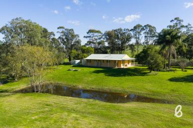 Lifestyle Sold - NSW - Singleton - 2330 - Lifestyle Acreage with Exceptional Water Security  (Image 2)