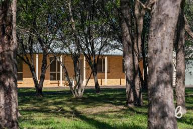 Lifestyle For Sale - NSW - Singleton - 2330 - Lifestyle Acreage with Exceptional Water Security (Image 2)