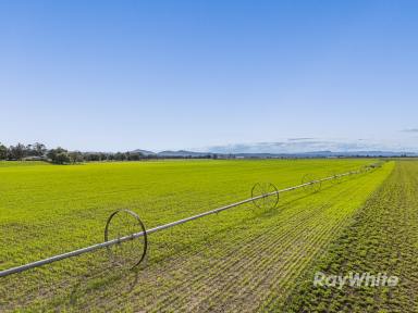 Lifestyle For Sale - NSW - Denman - 2328 - Landmark Hunter River Irrigation Farming Asset (Image 2)
