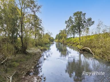 Lifestyle For Sale - NSW - Denman - 2328 - Landmark Hunter River Irrigation Farming Asset (Image 2)