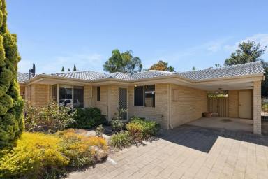 Villa For Sale - WA - Maylands - 6051 - Charming Riverside Villa with Resort-Style Living  (Image 2)