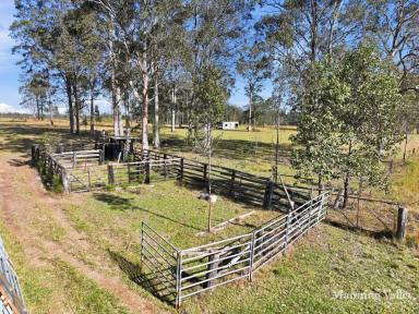 Livestock Auction - NSW - Melinga - 2430 - Where Your Country Dream Begins  (Image 2)