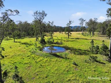 Livestock Auction - NSW - Melinga - 2430 - Where Your Country Dream Begins  (Image 2)