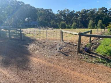 Residential Block For Sale - WA - Darling Downs - 6122 - Country style living in an Oasis of Nature  (Image 2)
