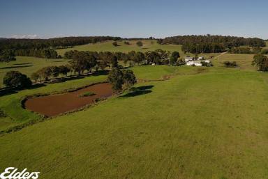 Other (Rural) For Sale - VIC - Briagolong - 3860 - "Ankuma"  (Image 2)