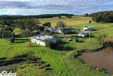 Other (Rural) For Sale - VIC - Briagolong - 3860 - "Ankuma" (Image 2)