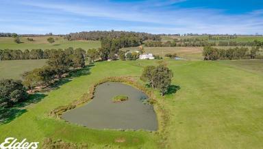 Other (Rural) For Sale - VIC - Briagolong - 3860 - "Ankuma" (Image 2)