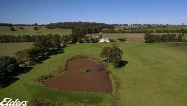 Other (Rural) For Sale - VIC - Briagolong - 3860 - "Ankuma"  (Image 2)