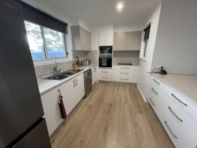 House For Lease - NSW - South Grafton - 2460 - Modern and Spacious 2-bedroom  (Image 2)