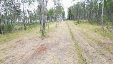 Other (Rural) For Sale - QLD - Glenwood - 4570 - Vacant Land Only Minutes From The Bruce Highway  (Image 2)