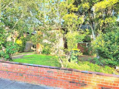 House For Lease - VIC - Caulfield South - 3162 - 3BR Home in Caulfield South with Air-Conditioning & Private Backyard Oasis  (Image 2)