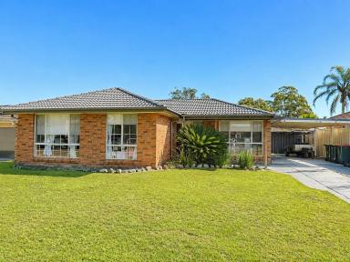 House For Sale - NSW - Raymond Terrace - 2324 - MOVE-IN READY FAMILY HOME WITH POOL, SHED & MODERN UPDATES!  (Image 2)