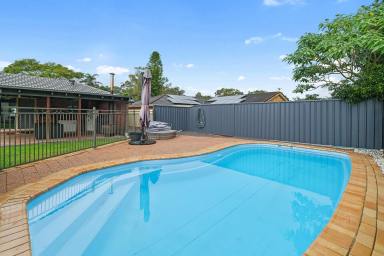 House For Sale - NSW - Raymond Terrace - 2324 - MOVE-IN READY FAMILY HOME WITH POOL, SHED & MODERN UPDATES!  (Image 2)