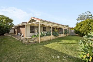 Villa For Sale - WA - Yokine - 6060 - Super-sized Villa with Exceptional Outdoor Space  (Image 2)