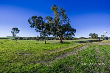 Residential Block For Sale - WA - Bringo - 6532 - NOW SELLING - ONCE IN A LIFETIME LIFESTYLE OPPORTUNITY  (Image 2)