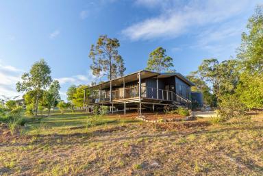 House For Sale - QLD - Glenwood - 4570 - Modern Living with Space, Views & Privacy  (Image 2)