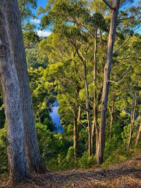 Residential Block For Sale - TAS - Somerset - 7322 - Your Blank Canvas on the Cam River (Image 2)