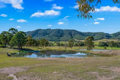 Lifestyle For Sale - NSW - Gloucester - 2422 - Location, Lifestyle & Views (Image 2)