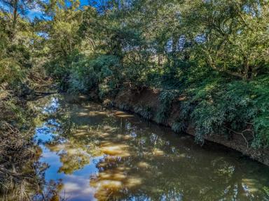 Lifestyle For Sale - NSW - Gloucester - 2422 - Location, Lifestyle & Views (Image 2)