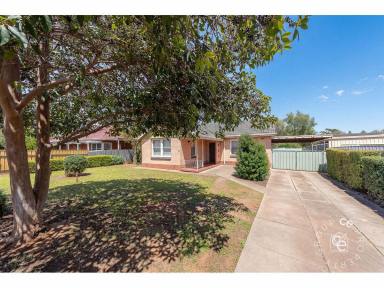 House For Sale - SA - Elizabeth Park - 5113 - How will you utilise this big block?  (Image 2)