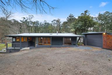 House For Sale - VIC - Noojee - 3833 - 1/2 - ACRE LIVING  (Image 2)