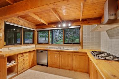 House For Sale - VIC - Noojee - 3833 - 1/2 - ACRE LIVING  (Image 2)