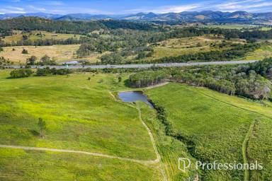 Mixed Farming For Sale - QLD - Traveston - 4570 - Rural Land At Traveston  (Image 2)
