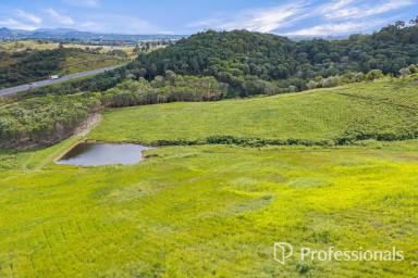 Mixed Farming For Sale - QLD - Traveston - 4570 - Rural Land At Traveston  (Image 2)