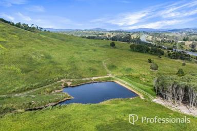 Mixed Farming For Sale - QLD - Traveston - 4570 - Rural Land At Traveston  (Image 2)