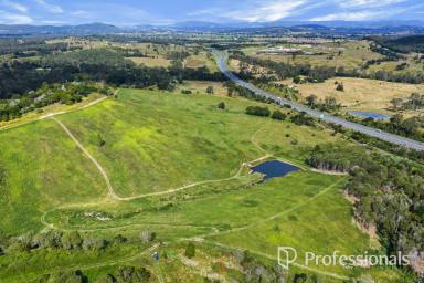 Mixed Farming For Sale - QLD - Traveston - 4570 - Rural Land At Traveston  (Image 2)