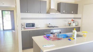 House For Sale - VIC - Deer Park - 3023 - Best location in Deer Park - 4 Bed house  (Image 2)