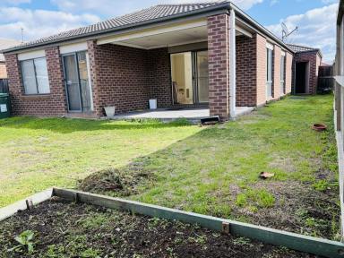 House For Sale - VIC - Deer Park - 3023 - Great location in Deer Park - 4 Bed house  (Image 2)