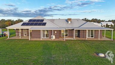 House For Sale - NSW - Narrabri - 2390 - ESTABLISHED INVESTMENT RETURNING $700 PER WEEK  (Image 2)