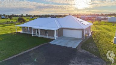 House For Sale - NSW - Narrabri - 2390 - MODERN HOME IN SOUGHT-AFTER RIVERBEND ESTATE (Image 2)