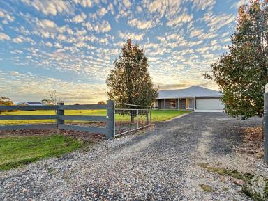 House For Sale - NSW - Narrabri - 2390 - MODERN HOME IN SOUGHT-AFTER RIVERBEND ESTATE (Image 2)