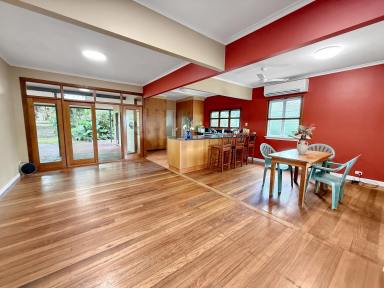 House For Sale - QLD - Atherton - 4883 - A Unique, Iconic Home on a Large 2,023m2 Allotment  (Image 2)