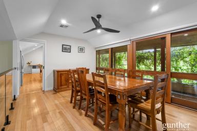 House For Sale - VIC - Badger Creek - 3777 - Family Living, Lifestyle Space and Exceptional Shedding on almost 2 Acres  (Image 2)