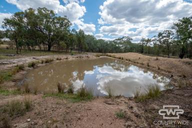 Livestock For Sale - NSW - Nullamanna - 2360 - "Hillview West" - A grazing and hunting opportunity (Image 2)
