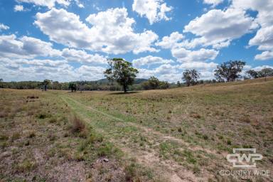 Livestock For Sale - NSW - Nullamanna - 2360 - "Hillview West" - A grazing and hunting opportunity (Image 2)