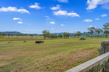 Lifestyle For Sale - NSW - Gloucester - 2422 - The Complete Family Acreage Lifestyle  (Image 2)